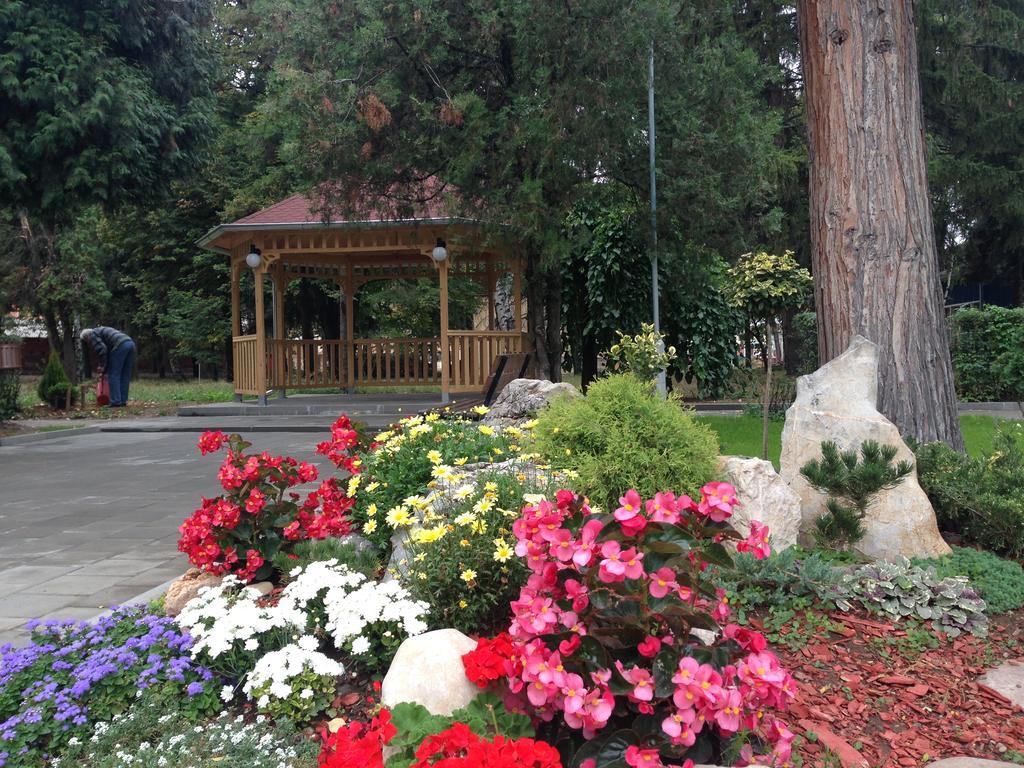 Prenociste Gazela Bed & Breakfast Pirot Eksteriør bilde